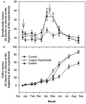 Dodine an effective alternative to copper for controlling Venturia oleaginea, the causal agent of pea-cock eye disease, in highly infected olive trees